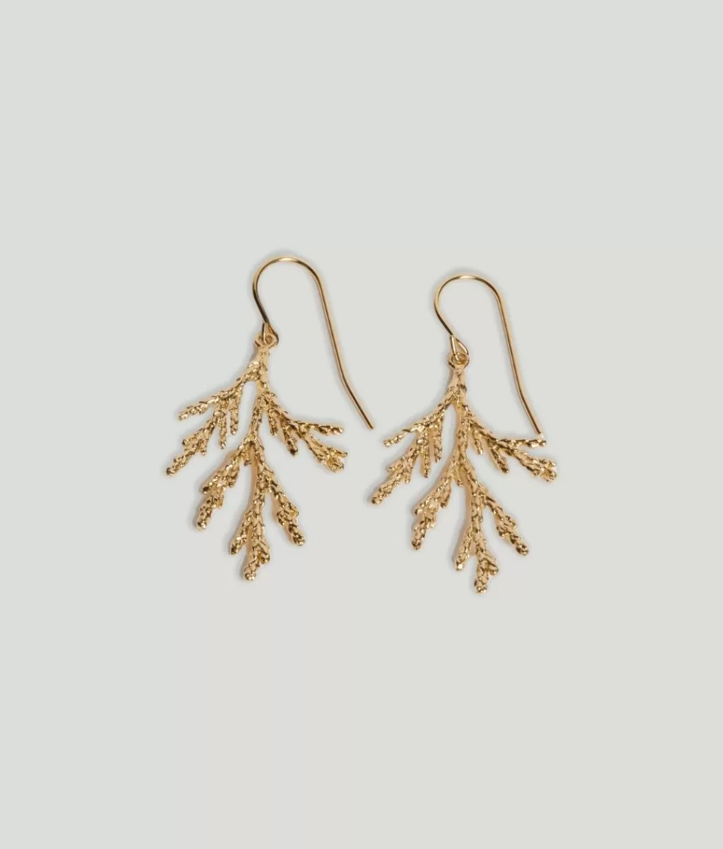 Lou Yetu Boucles Cedrus Best Sale